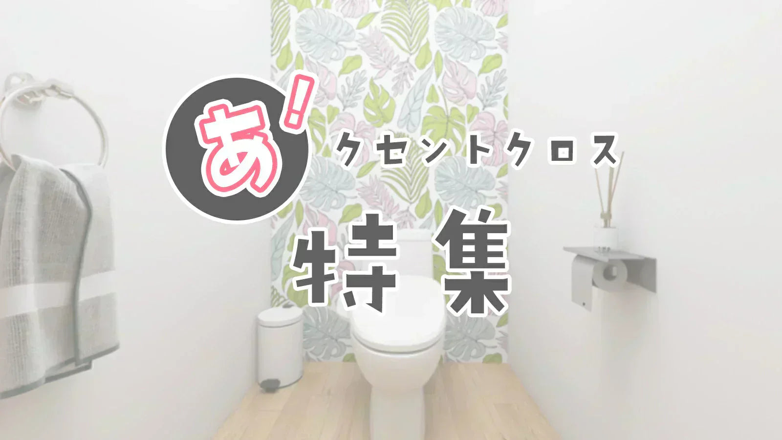 Image of アクセントクロス特集