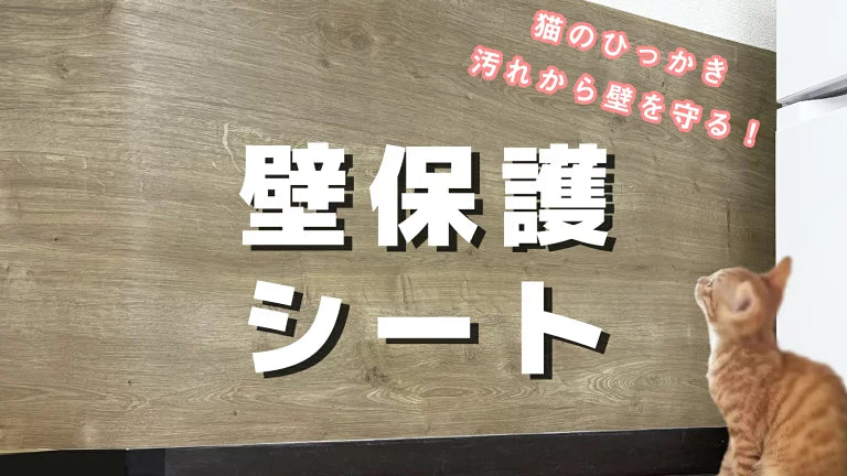 Image of 猫のひっかき傷から壁を守る壁保護シート