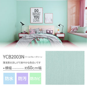 YCB2003N パールブルーグリーン