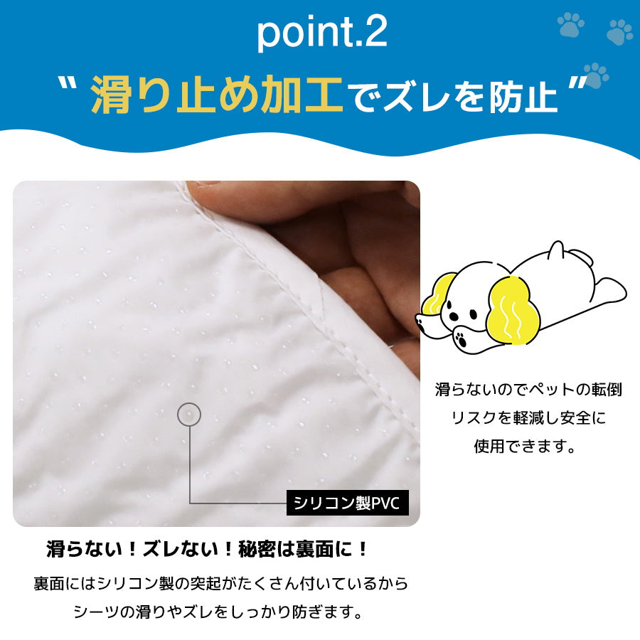 Image of 洗えるペットシーツ ポイント