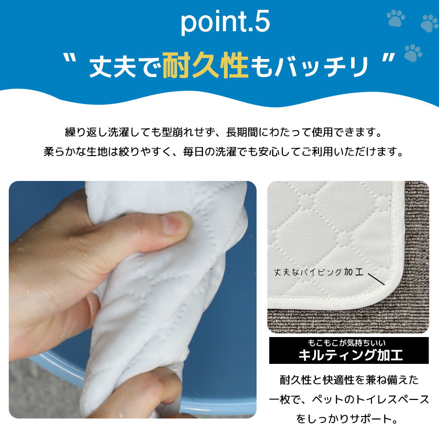 Image of 洗えるペットシーツ ポイント