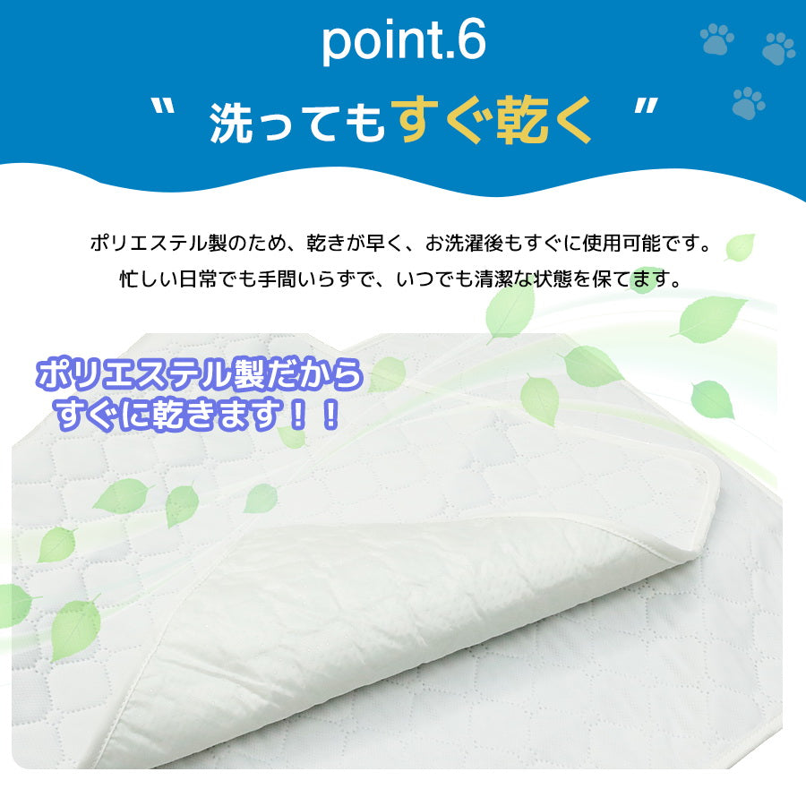 Image of 洗えるペットシーツ ポイント