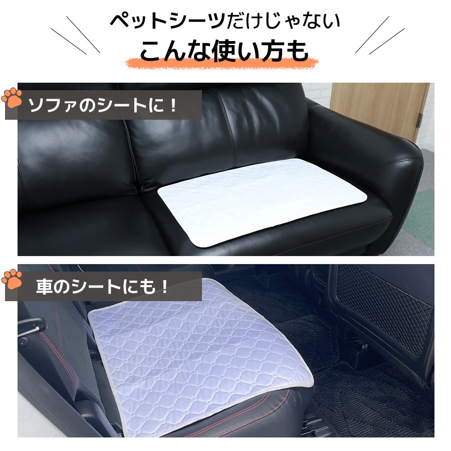 Image of 洗えるペットシーツ ポイント