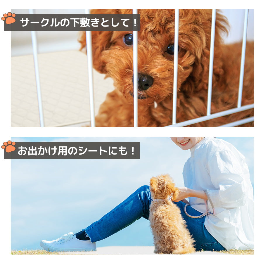 Image of 洗えるペットシーツ ポイント