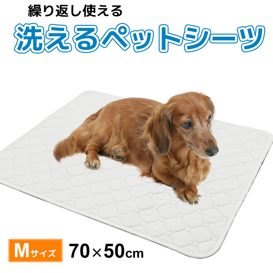 Image of 洗えるペットシーツ　Lサイズ70ｘ50㎝