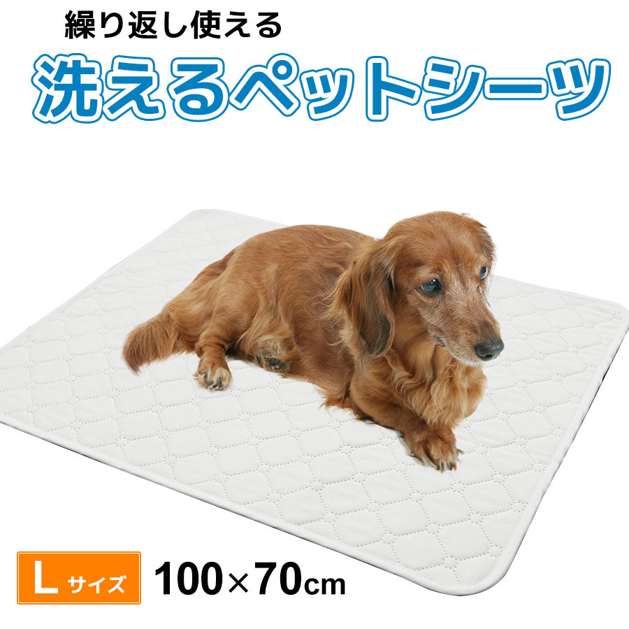 Image of 洗えるペットシーツ　Lサイズ100ｘ70㎝