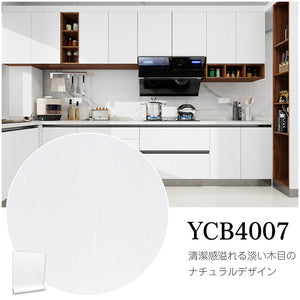 YCB4007